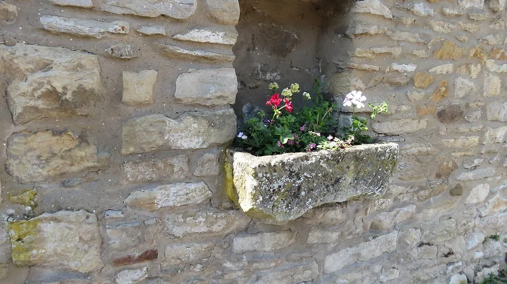 Pear Tree House B&B-1